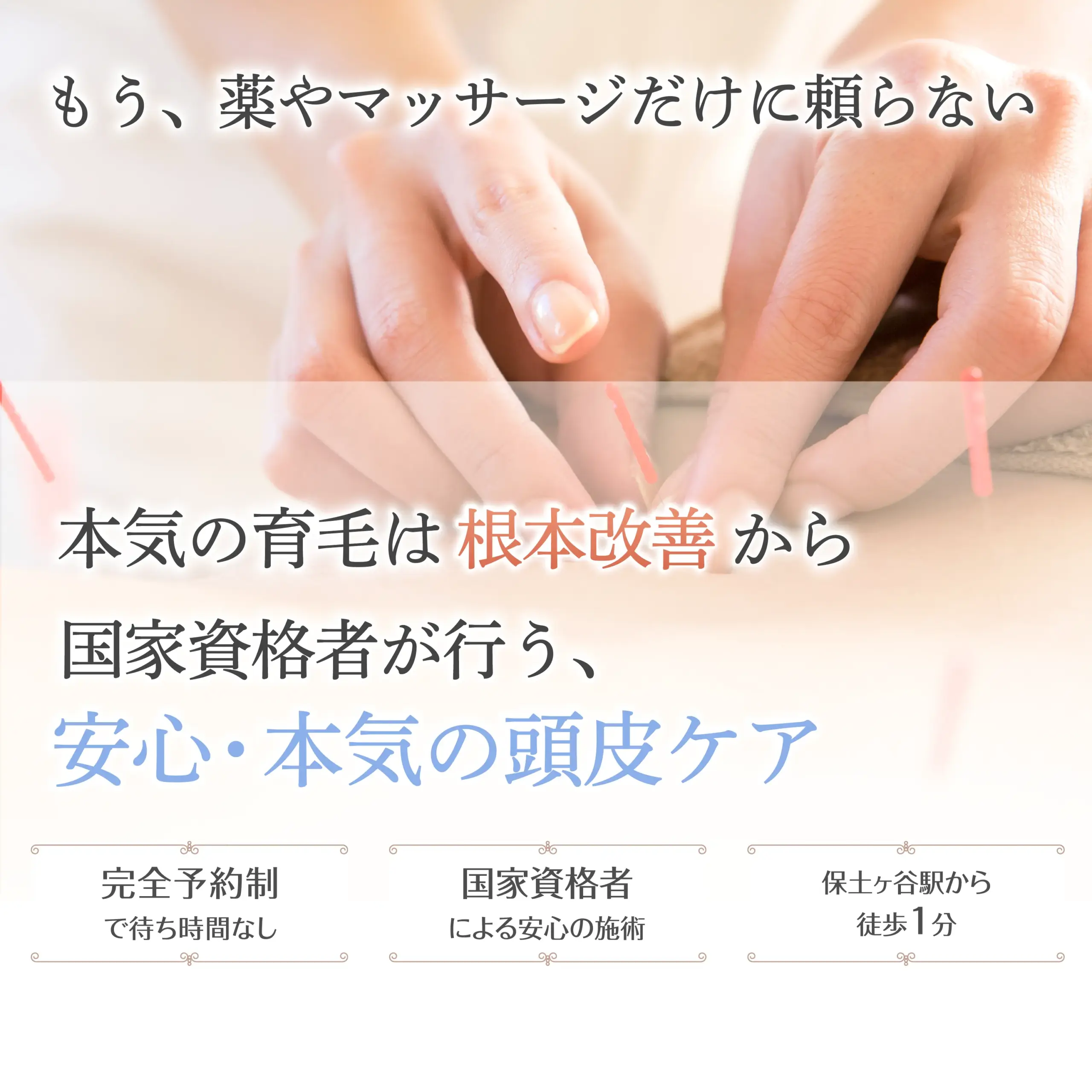 もう、薬やマッサージだけに頼らない。本気の育毛は「根本改善」から。国家資格者が行う、安心・本気の頭皮ケア